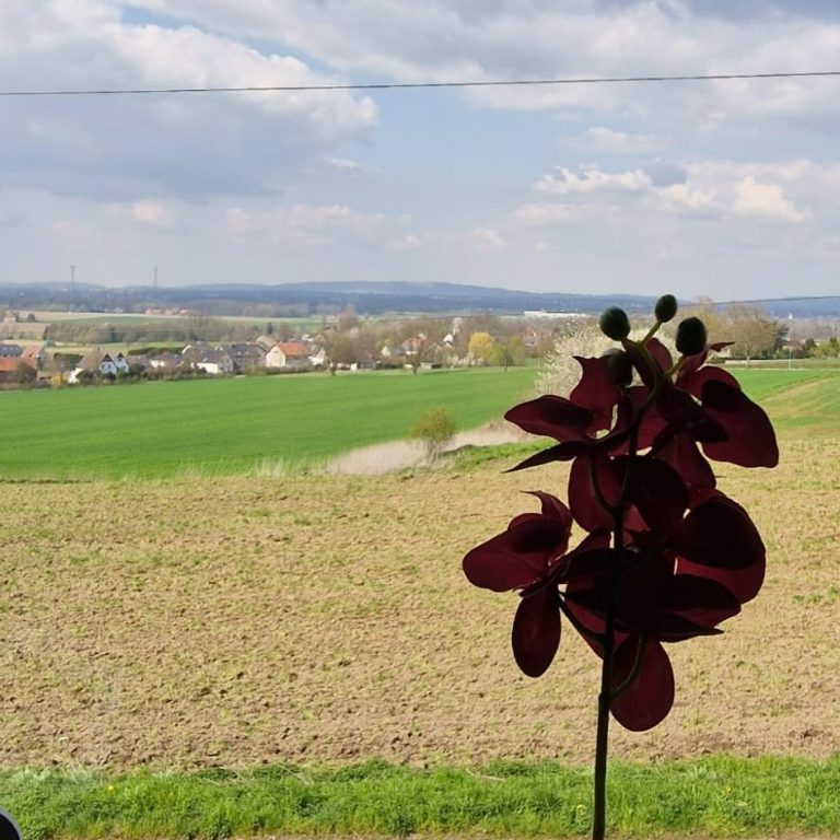 Ausblick aus der Ferienwohnung / Monteurunterkunft OG